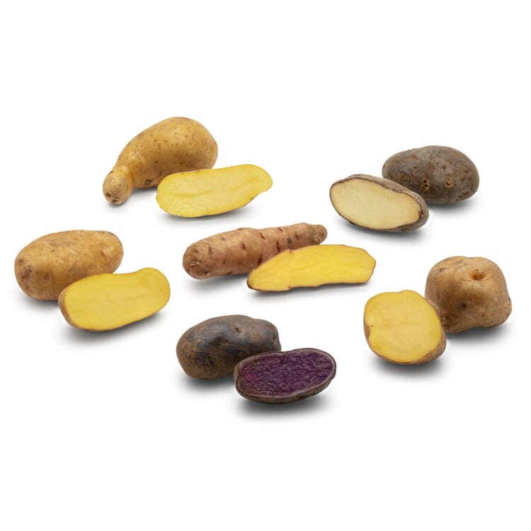 Kartoffelraritäten Traditionelle Sorten 2023