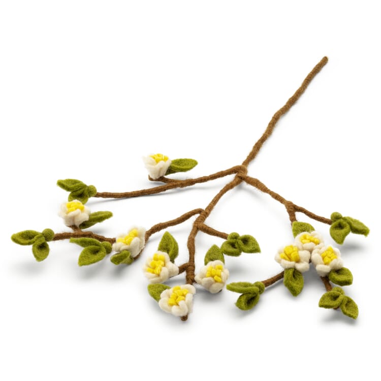 Feltro di rami di melo in fiore