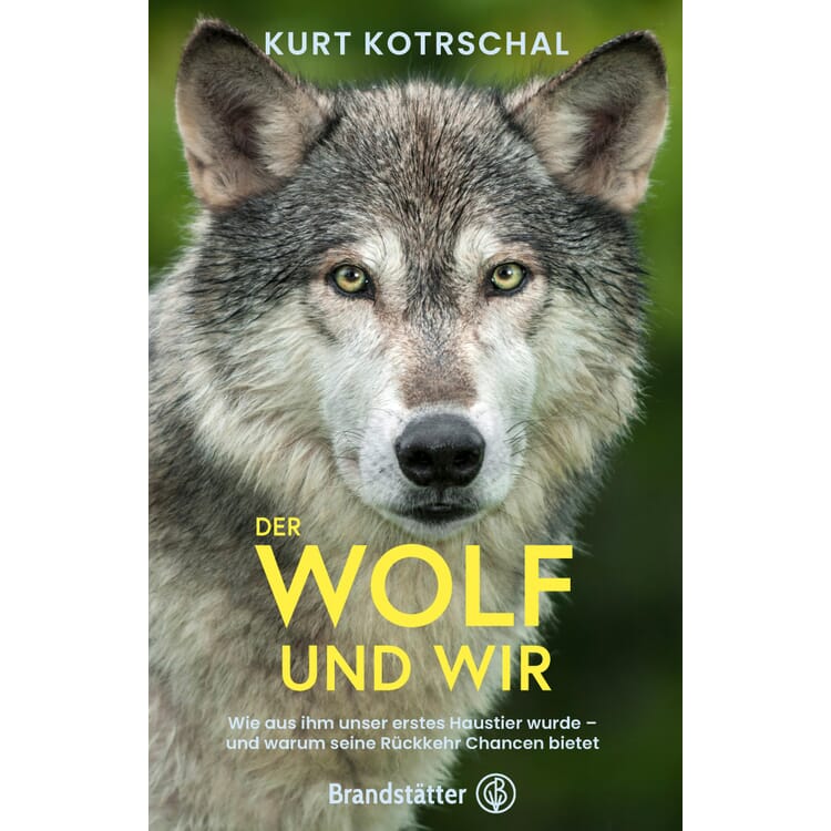 Le loup et nous
