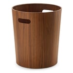 Paper and laundry basket Plants