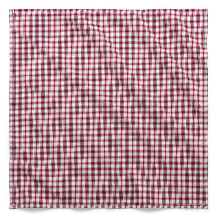 Napkin red and white checkered