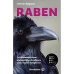 Ravens