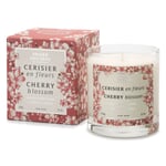 Scented candle Cherry Blossom