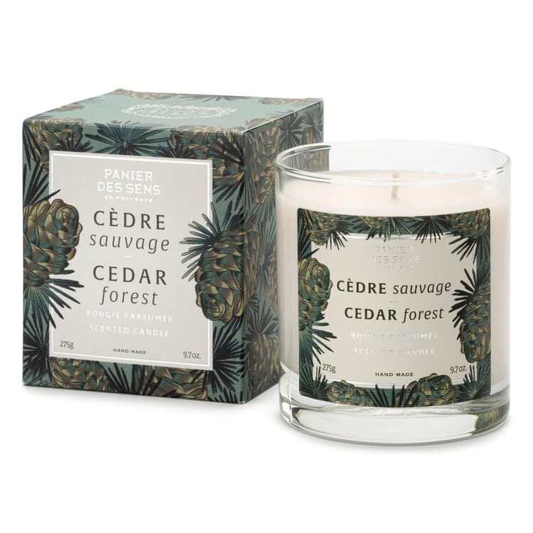 Scented candle, Wild Cedar