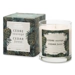 Vela perfumada Cedro silvestre