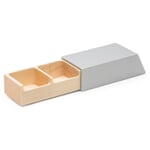Pill box Monolith 2 compartments Silver