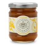 Apricot fruit spread from Bologna