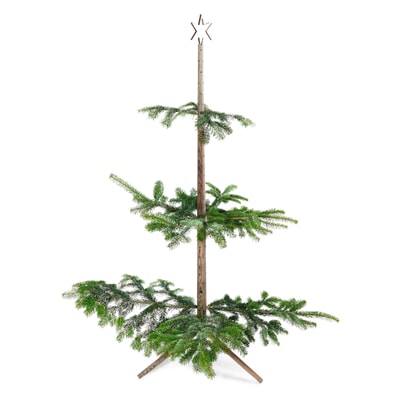 Keinachtsbaum® Stecktanne, Klein