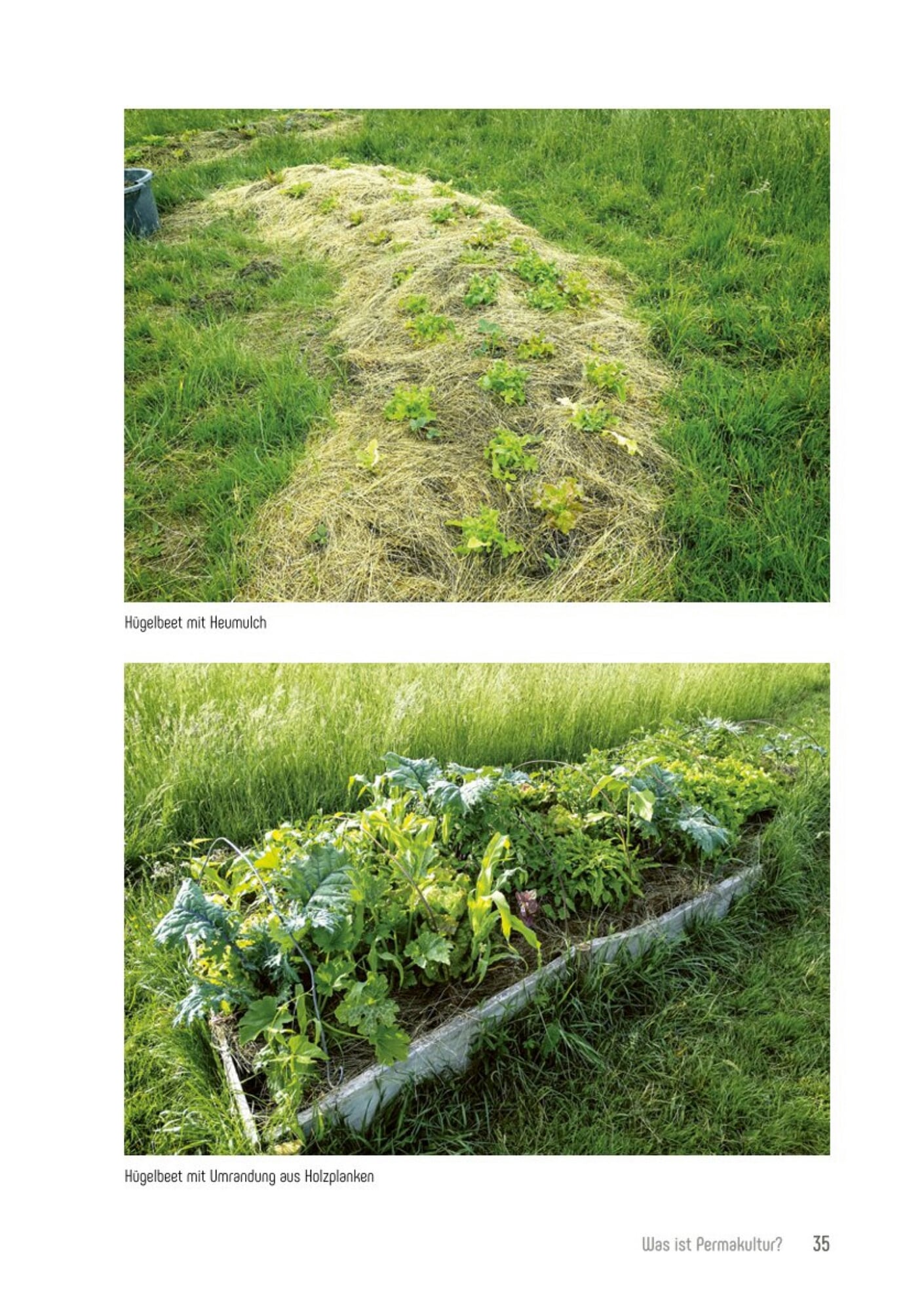 Permakultur im Bio-Garten | Manufactum