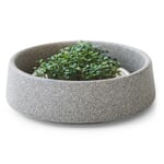 Bandeja de cultivo para microgreens