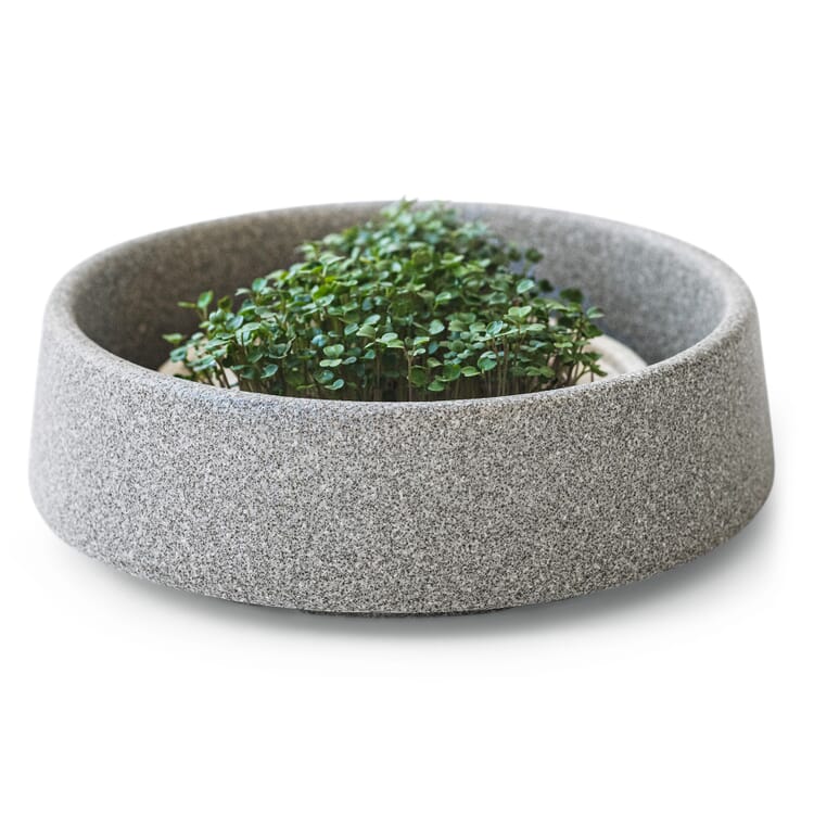 Plateau de culture pour microgreens