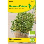Økologiske mikrogrøntsager med frø Rucola til salat