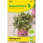 Microgreens di semi biologici Ravanello 'China Rose'
