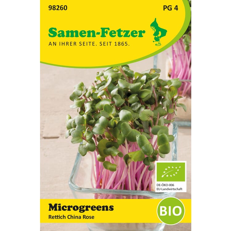 Økologiske mikrogrøntsager med frø, Radise 'China Rose'