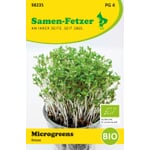 Microgreens de semillas ecológicas Berro