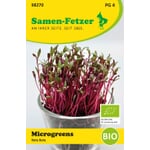 Organic seed microgreens Beet