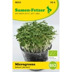 Bio-Saatgut Microgreens Senf