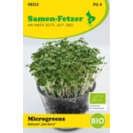 Microgreens de semillas ecológicas Mostaza