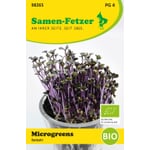 Microgreens di semi biologici Cavolo rosso
