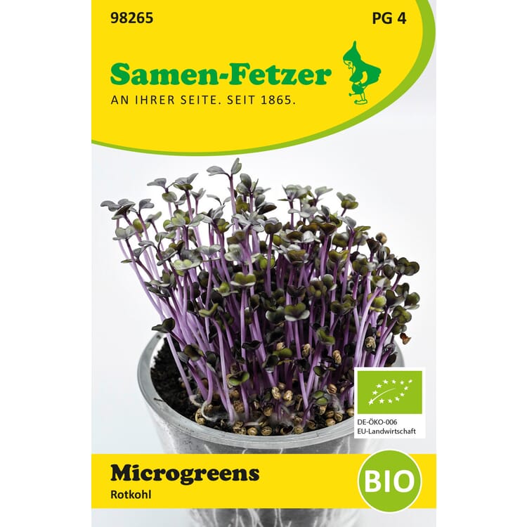Økologiske mikrogrøntsager med frø, Rødkål