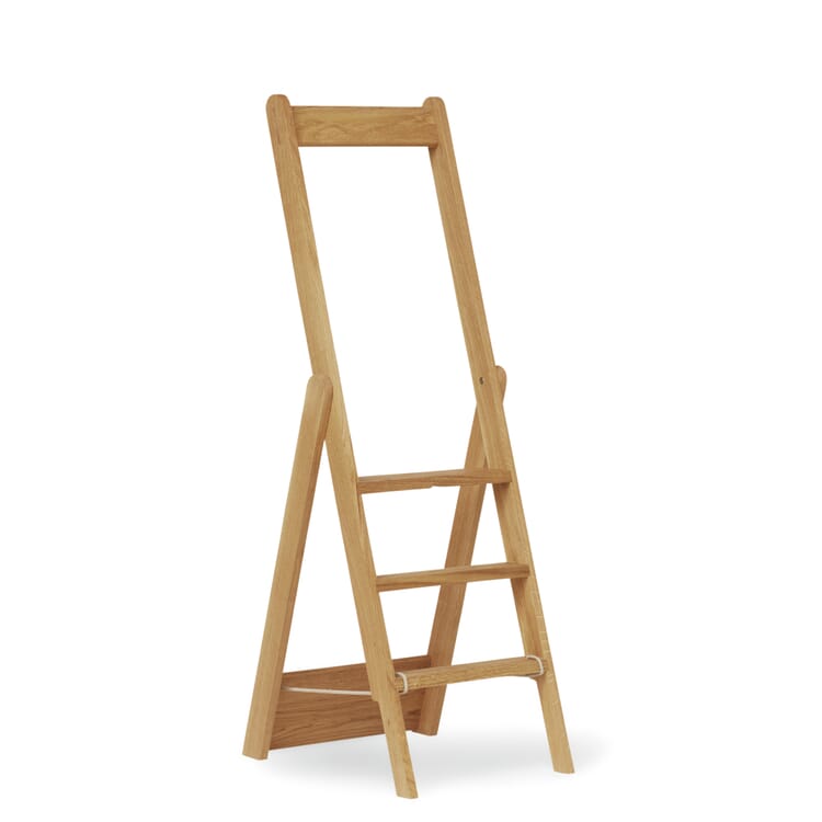 Directeur de la bibliothèque de Chêne