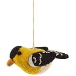 Gold siskin felt