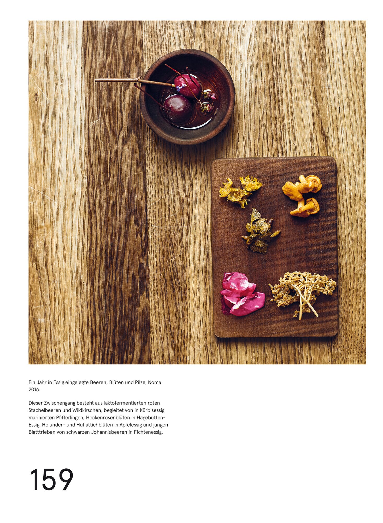 Das Noma-Handbuch Fermentation | Manufactum