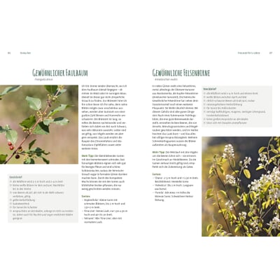 Heimische Pflanzen für den Garten Manufactum