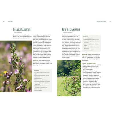Heimische Pflanzen für den Garten Manufactum