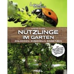 Nützlinge im Garten