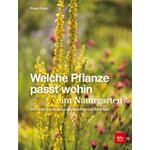 Welche Pflanze passt wohin im Naturgarten?