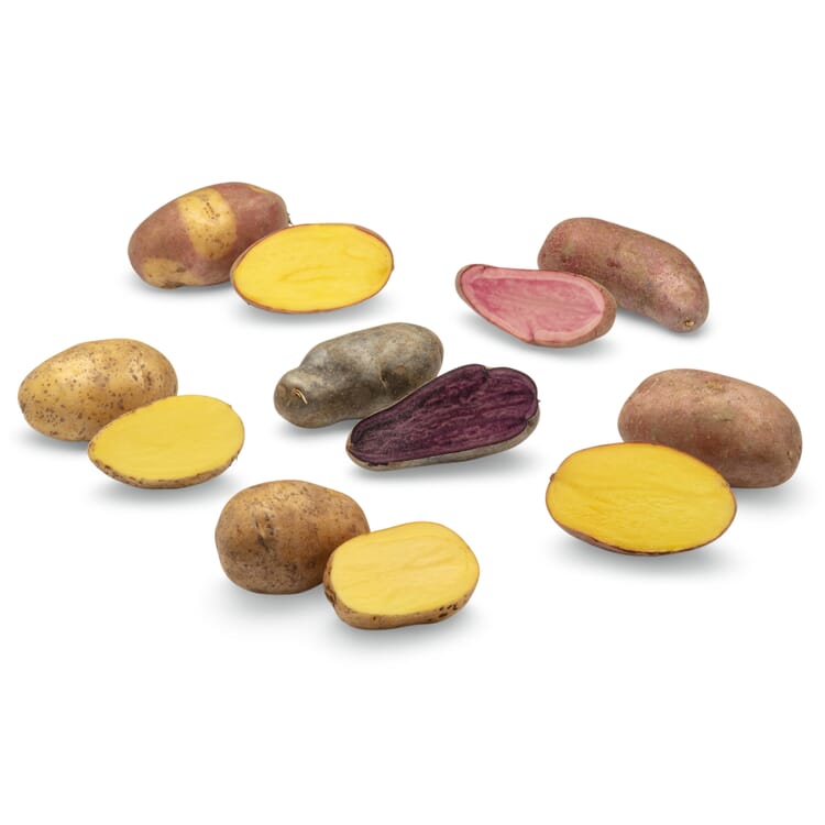 Pommes de terre rares Nouvelles variétés 2024