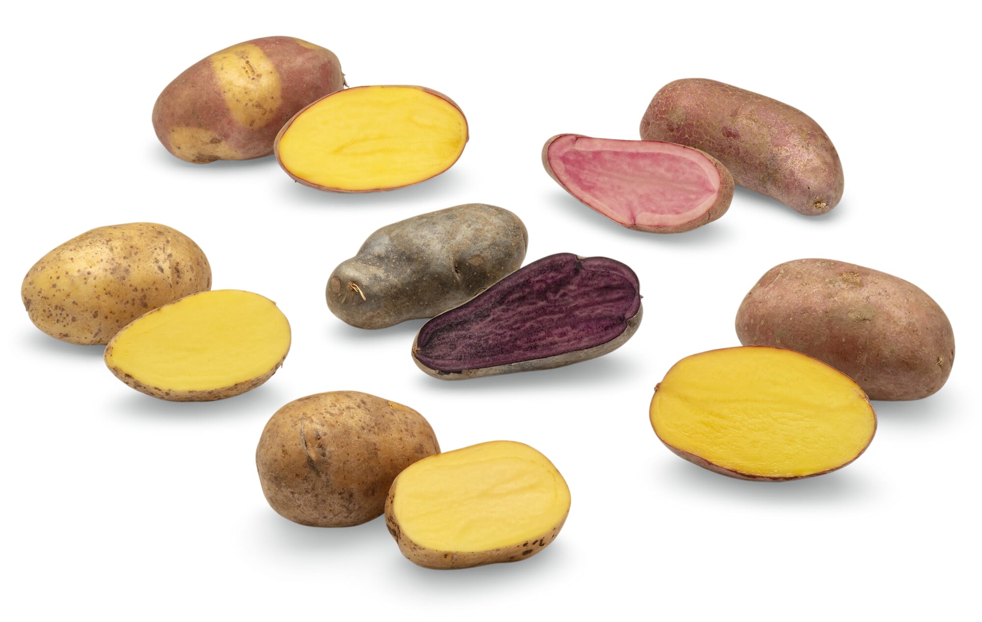 Potato Rarities New Varieties 2024 Manufactum   Potato Rarities New Varieties 2024 