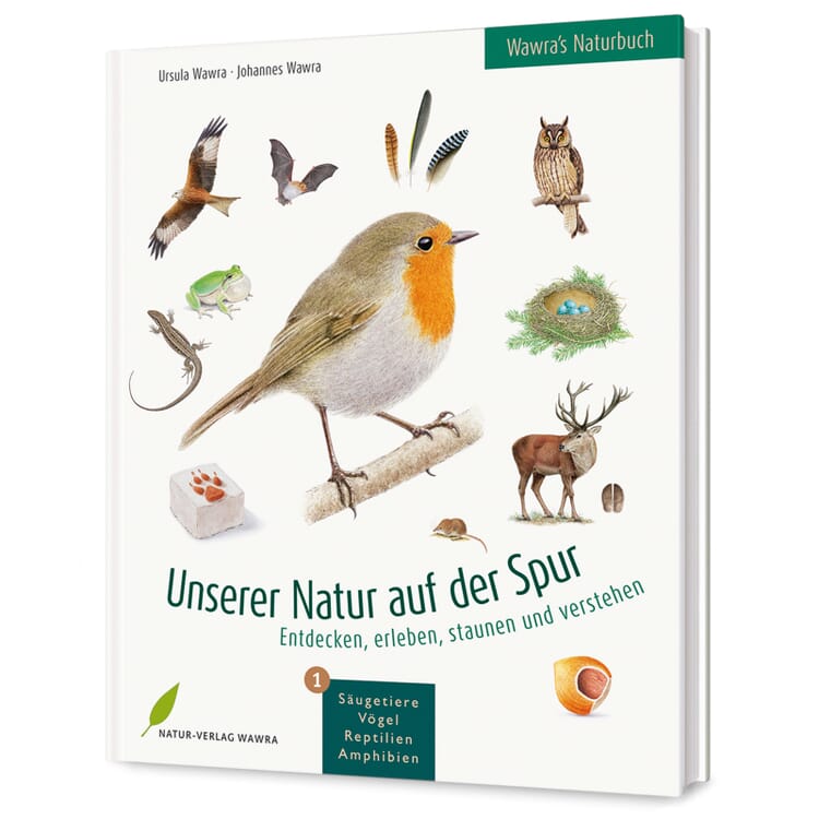 Sur les traces de notre nature