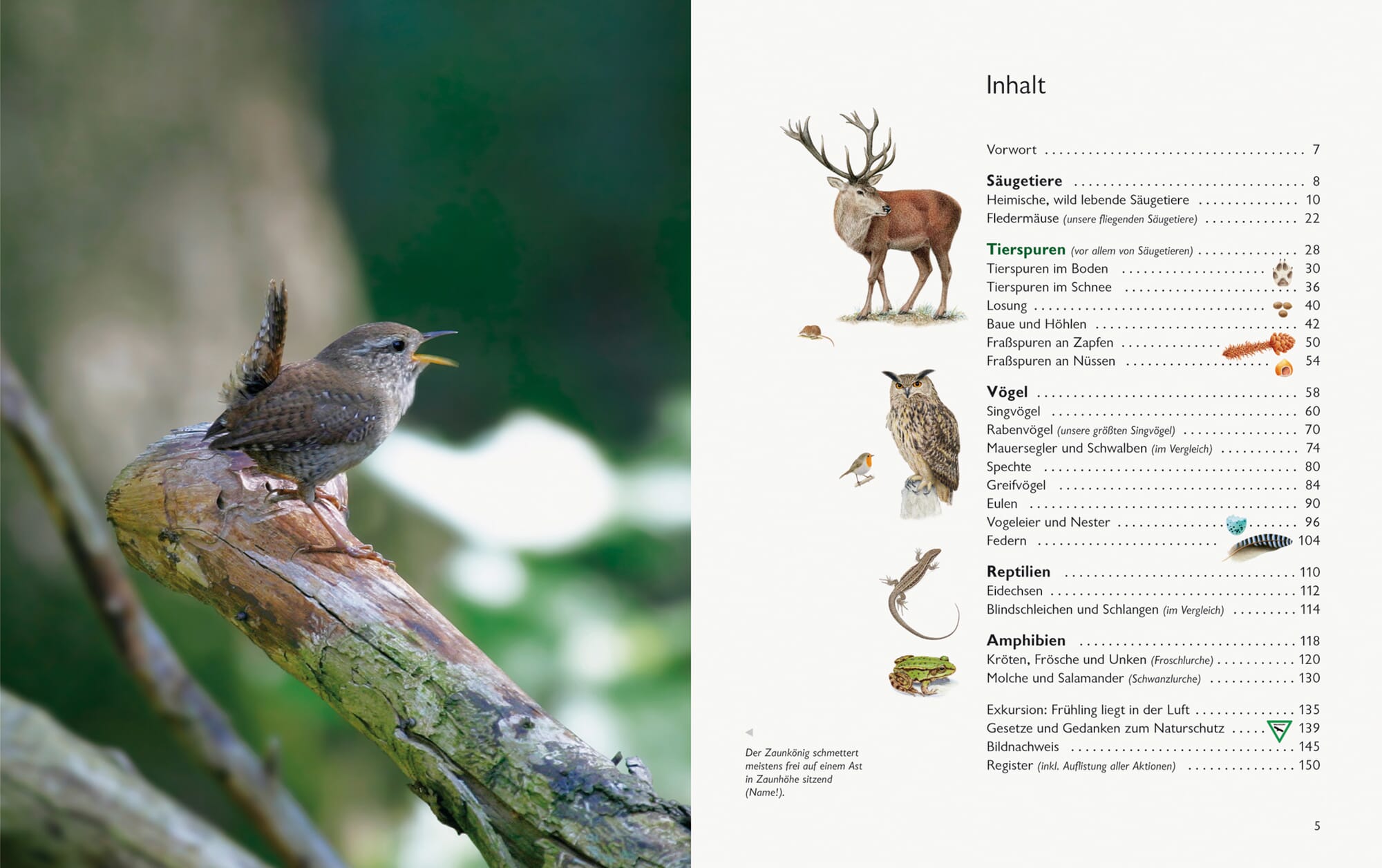Entdecken Sie das wahre Leben vor Ort: 10 authentische kulturelle Erlebnisse fernab der Touristenfallen - Naturverbundenheit und einheimische Fauna