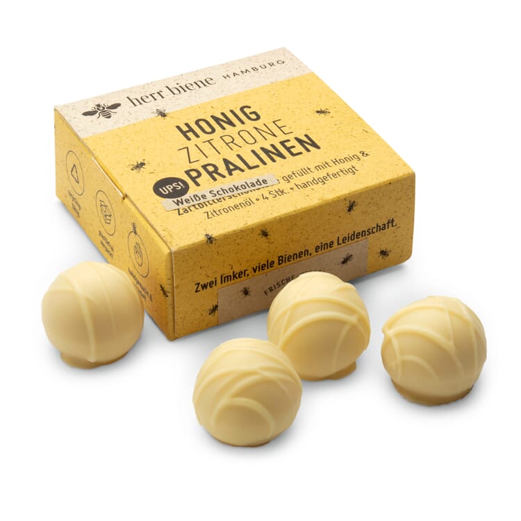 Honig-Zitrone Pralinen mit weißer Schokolade