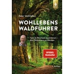 Le guide forestier de Wohlleben