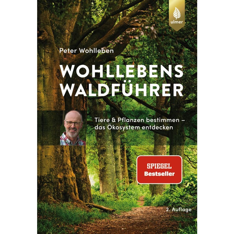 Le guide forestier de Wohlleben