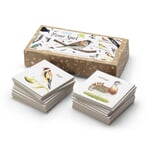 Juego de memoria Pájaros