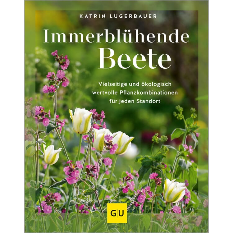 Massifs à fleurs persistantes