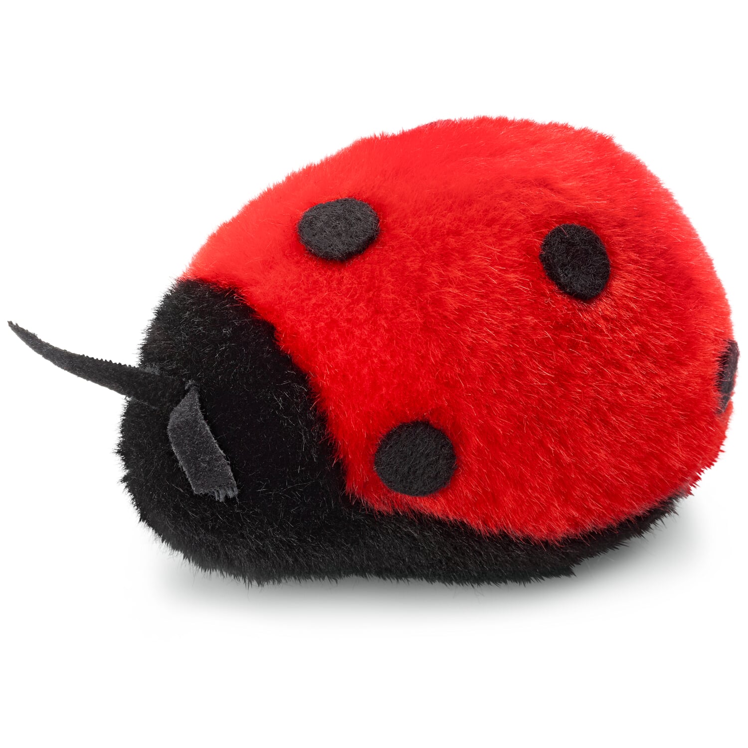 Kösen ladybug | Manufactum