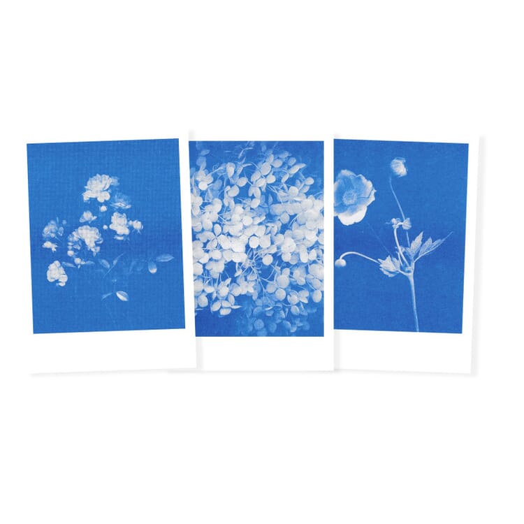 Postkarten-Set Riso, Blumen