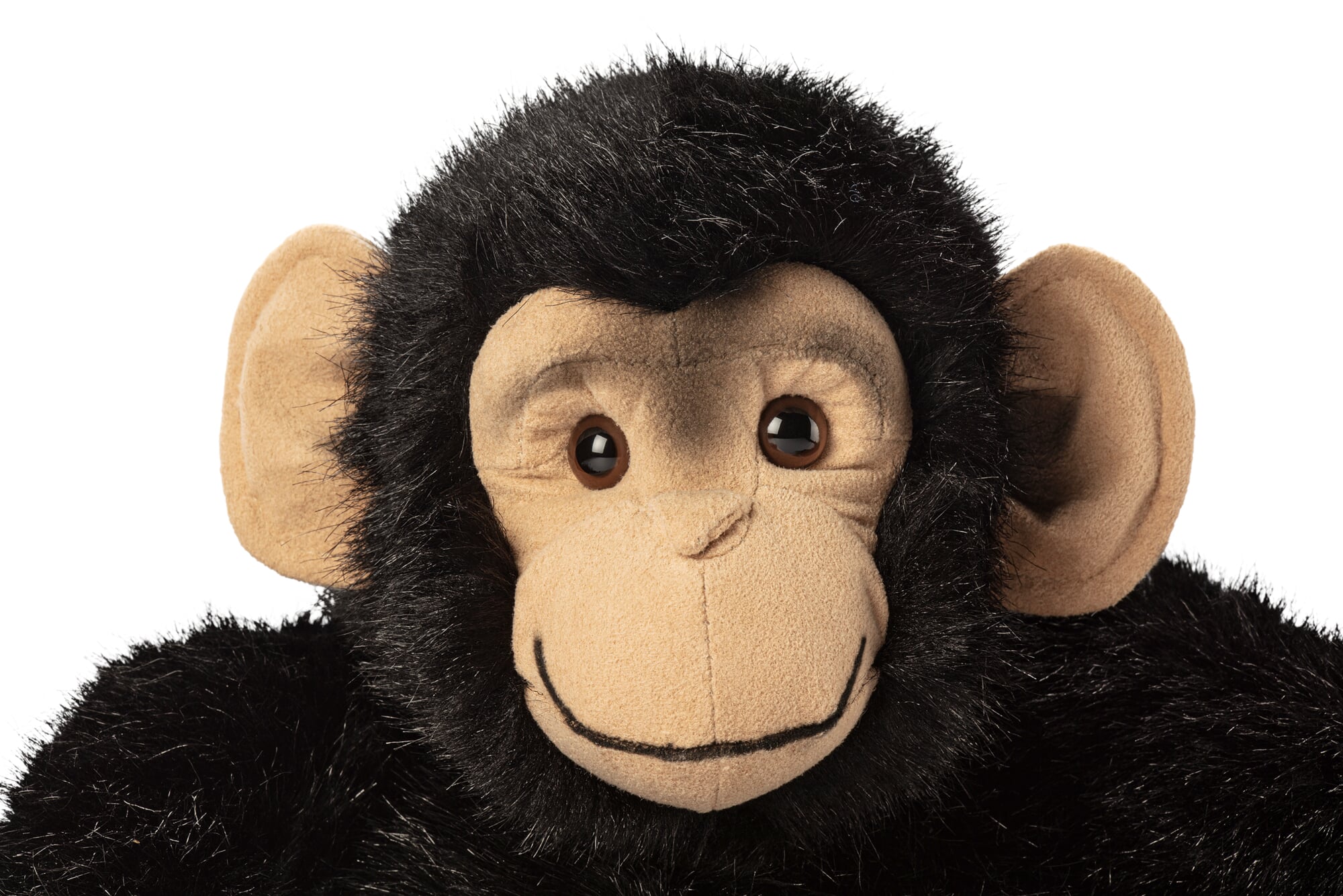 アミーボ Kösen chimpanzee | Manufactum