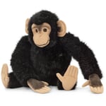 Chimpancé de Kösen