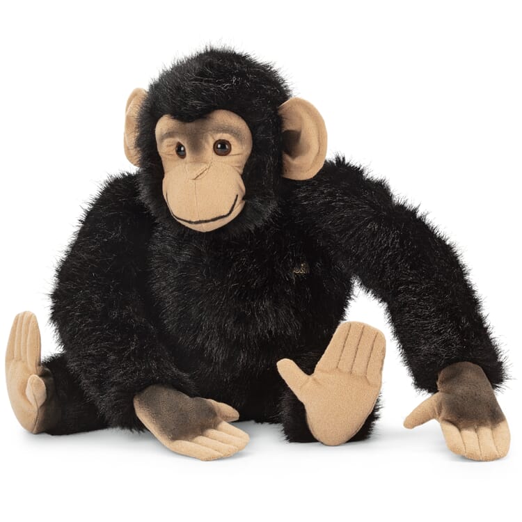 Kösen chimpansee