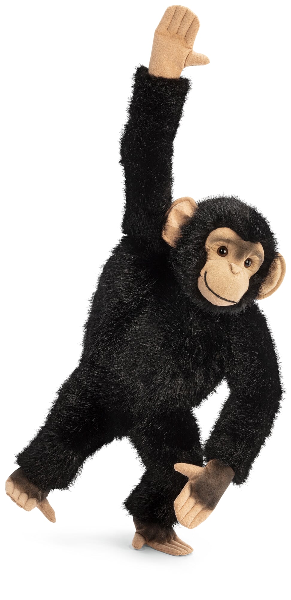 Kösen chimpanzee | Manufactum