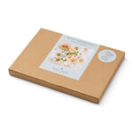 Seed collection for bouquets Soft apricot