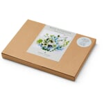 Indsamling af frø til buketter Stuepige i det grønne