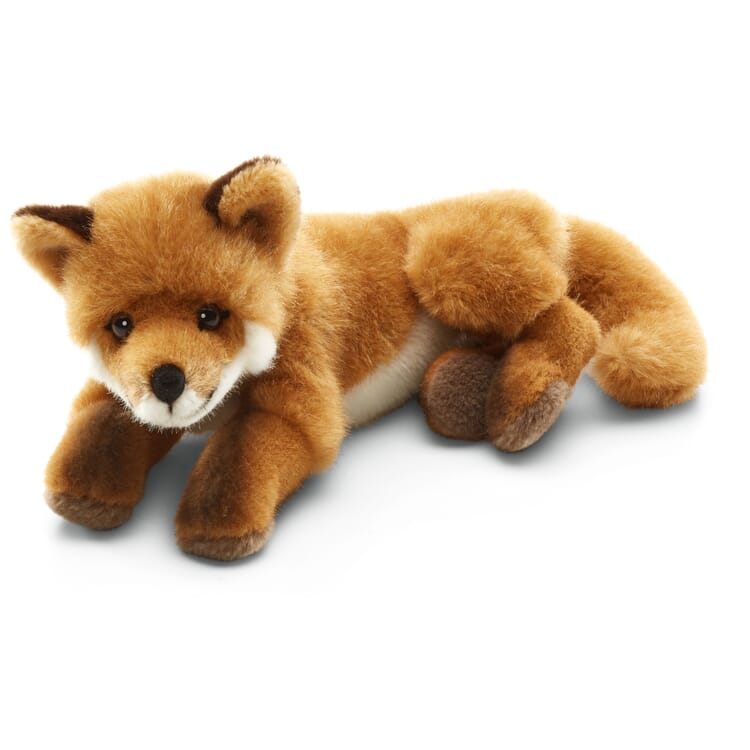Kösen fox lying down