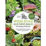 Récolte sauvage de la forêt